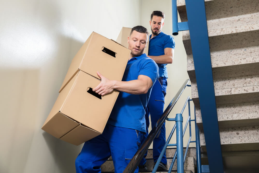 Largest Moving Companies Norfolk